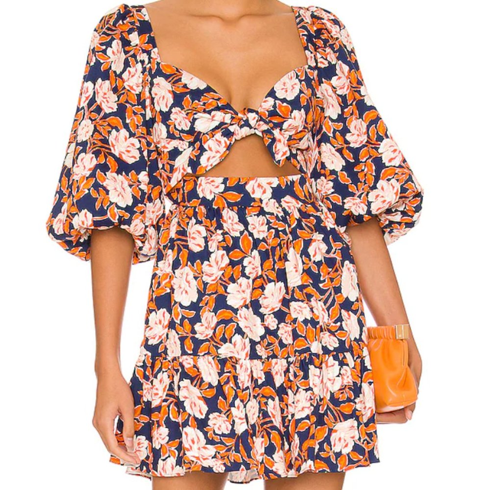 Amur Floral- Medina Mini Dress